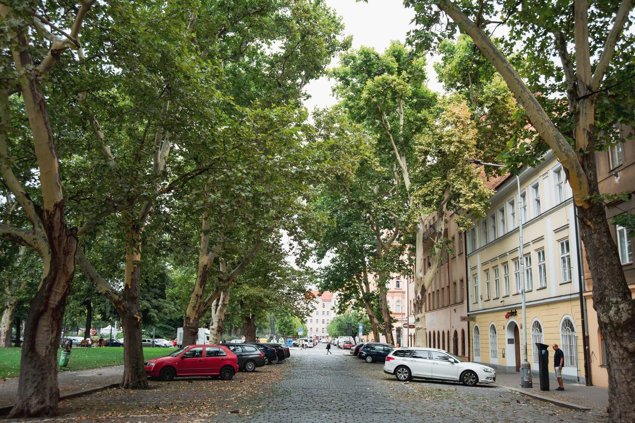 Gesse Kollarova * Praga